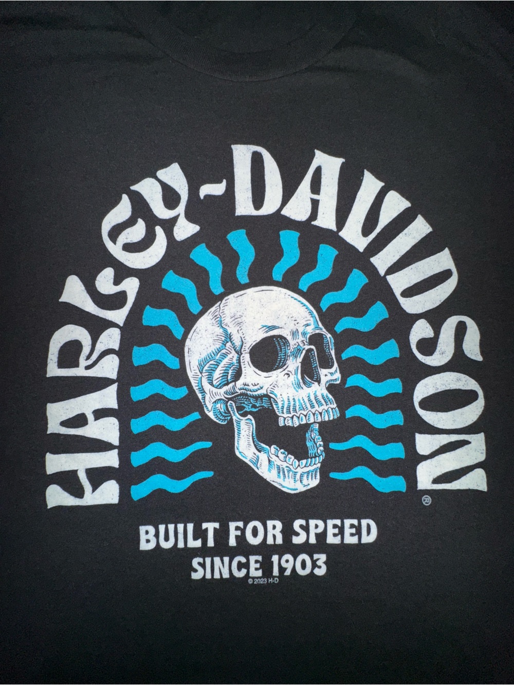 Harley-Davidson Men’s Size Large Lightweight Short Sleeve Tshirt - Picture 3 of 4